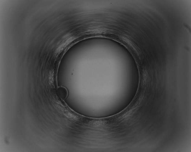 X0000101410778200807141130