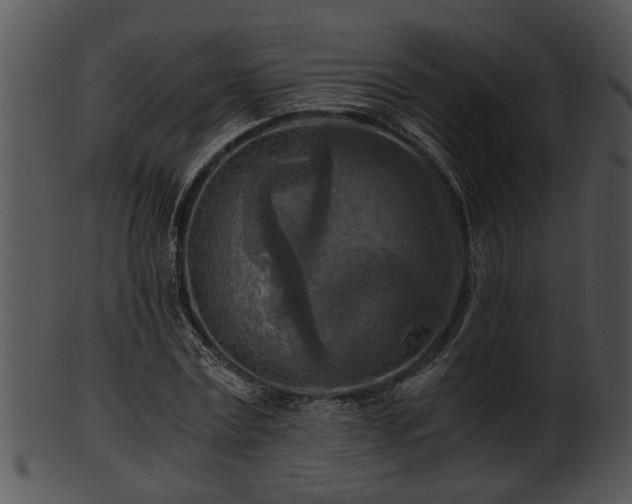 X0000101410779200807141130