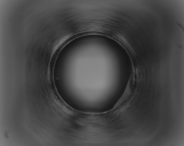X0000101410780200807141130