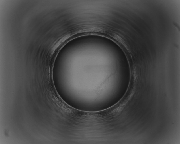 X0000101410781200807141130