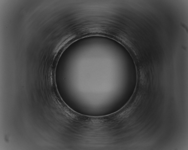X0000101410782200807141130