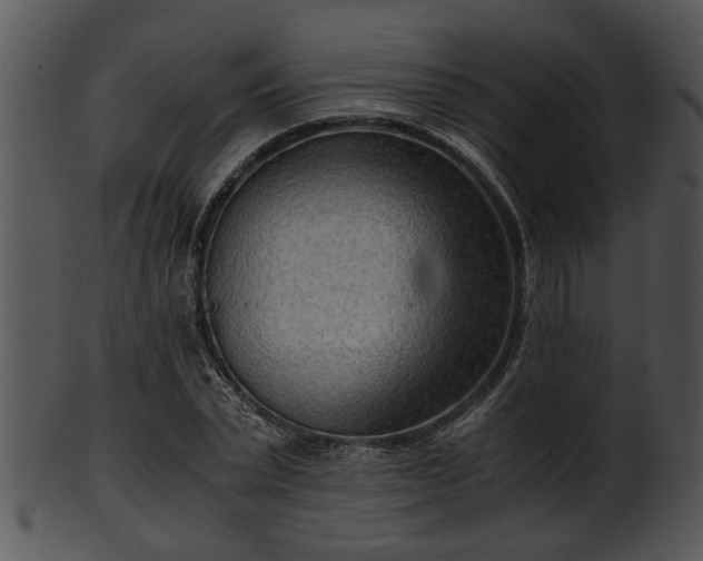 X0000101410783200807141130