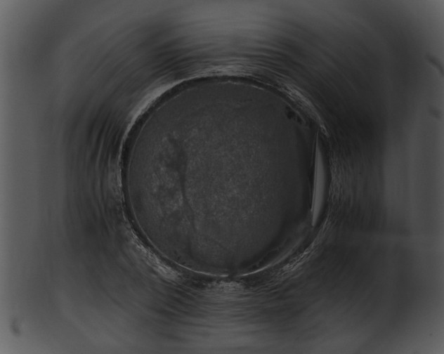 X0000101410784200807141130