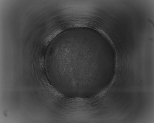 X0000101410785200807141130