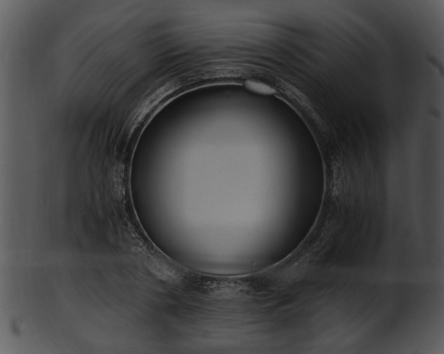 X0000101410786200807141130