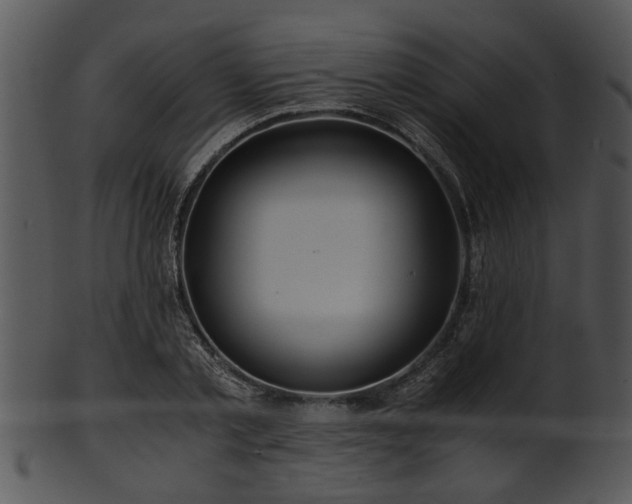 X0000101410789200807141130