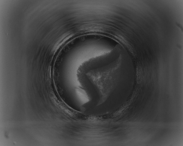 X0000101410790200807141130