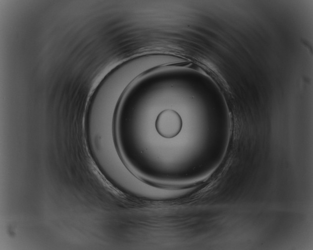 X0000101410796200807141130