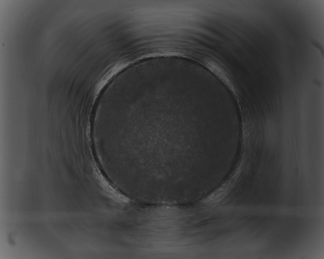 X0000101410797200807141130