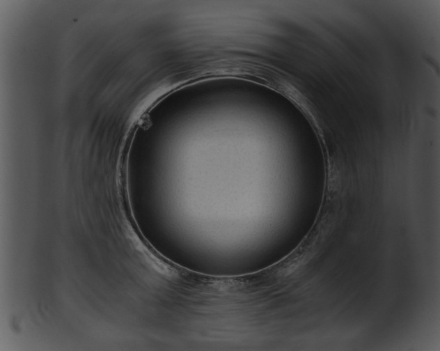 X0000101410803200807141130
