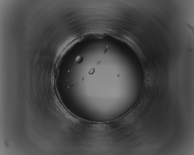 X0000101410804200807141130