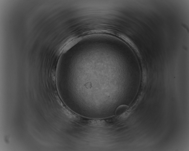 X0000101410809200807141130