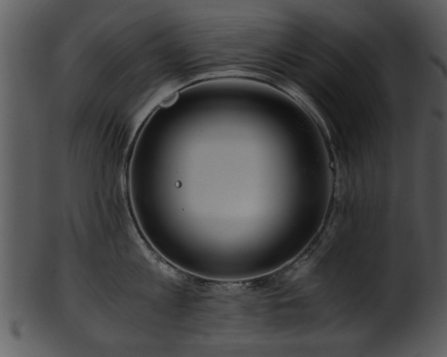 X0000101410813200807141130