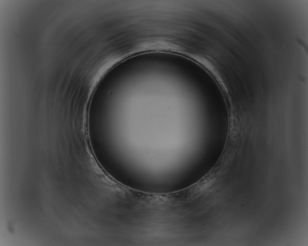 X0000101410815200807141130