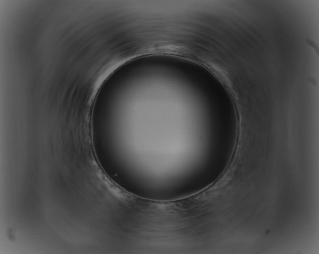 X0000101410816200807141130