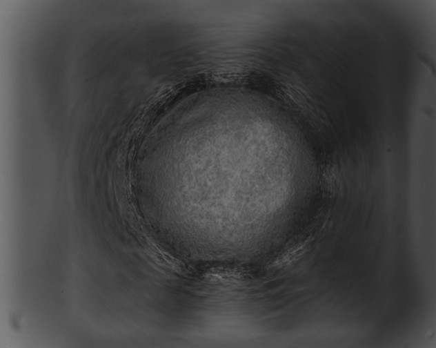 X0000101410817200807141129