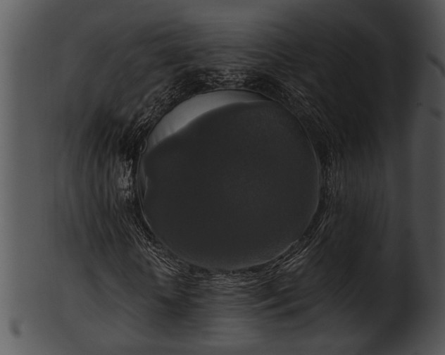 X0000101410818200807141129