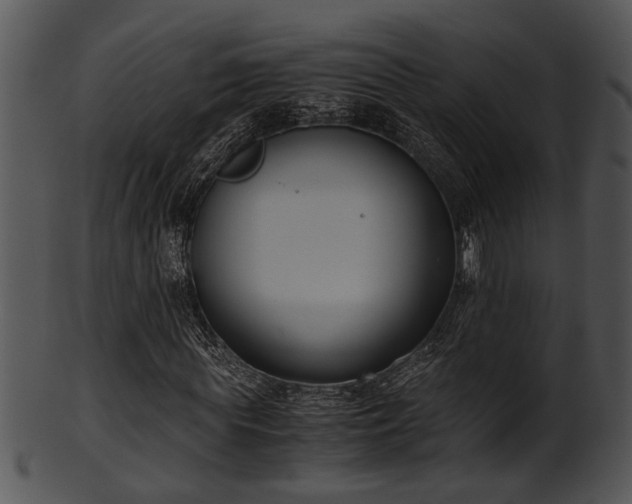 X0000101410819200807141129