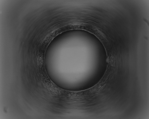 X0000101410821200807141129