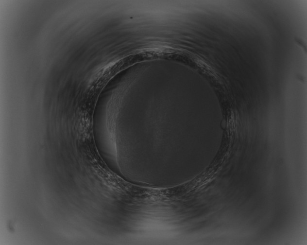 X0000101410822200807141129