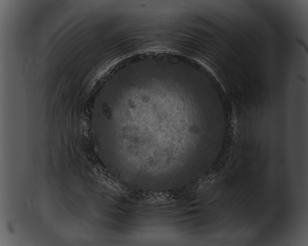 X0000101410823200807141129