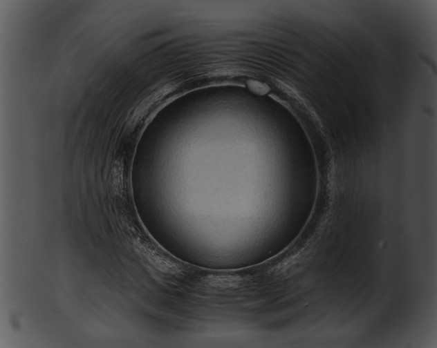 X0000101410825200807141129
