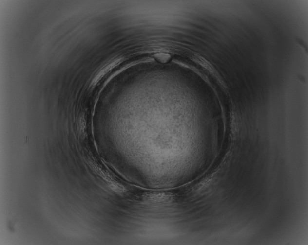 X0000101410826200807141129