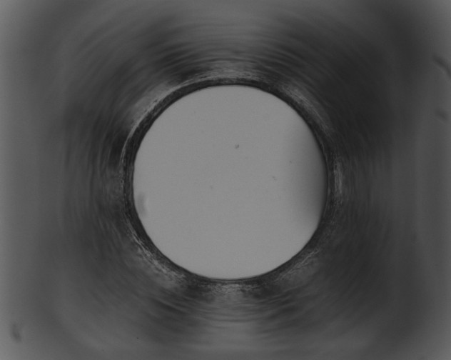 X0000101410828200807141129