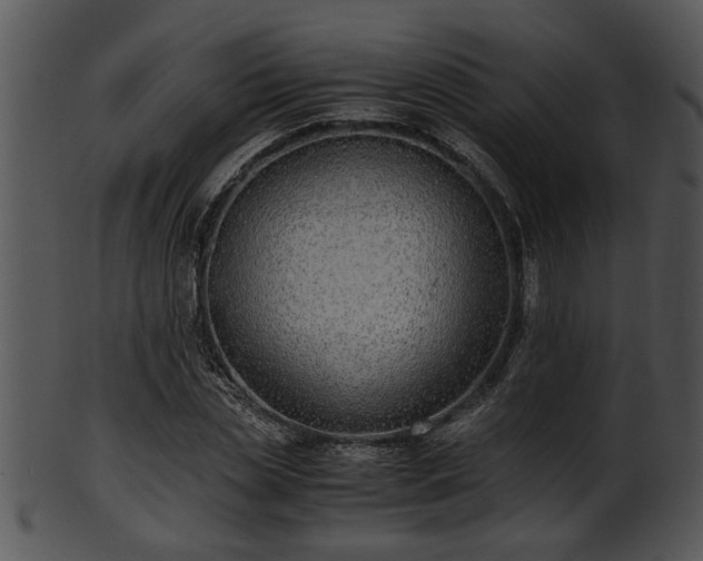 X0000101410829200807141129