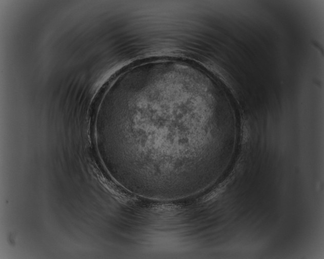 X0000101410830200807141129