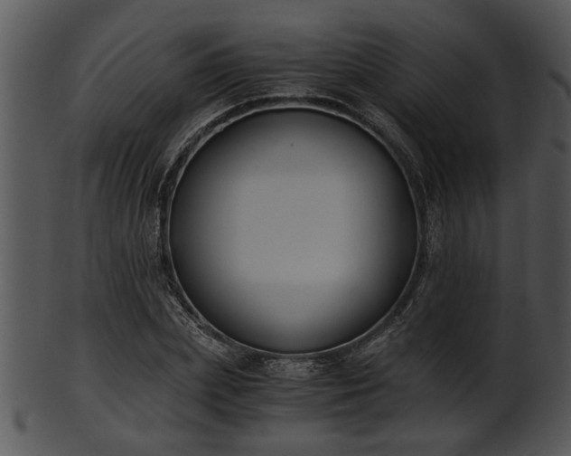 X0000101410831200807141129