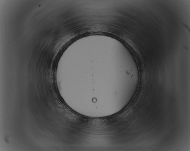 X0000101410832200807141129