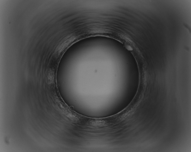X0000101410833200807141129