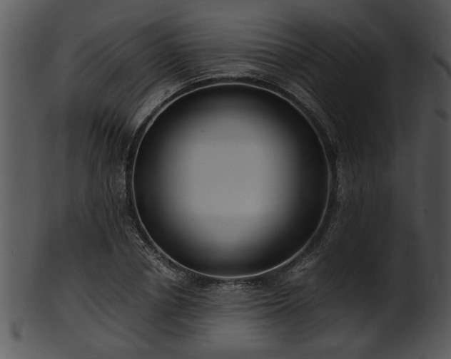 X0000101410834200807141129