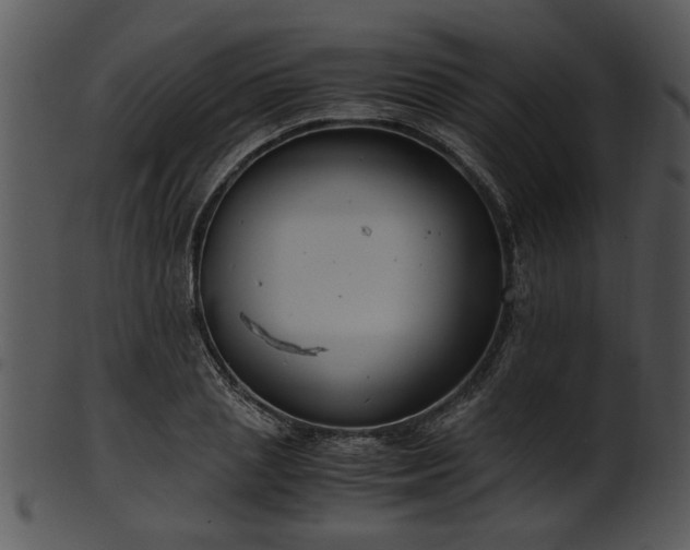 X0000101410837200807141129