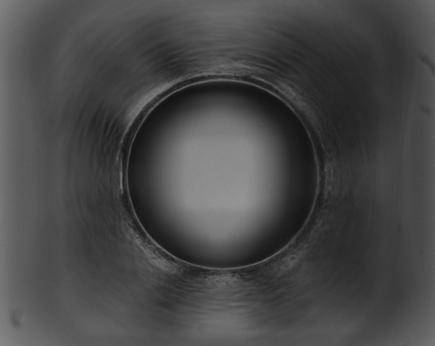 X0000101410838200807141129