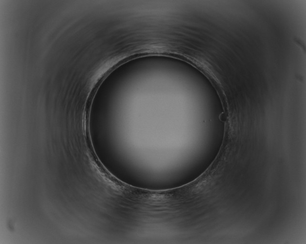 X0000101410839200807141129