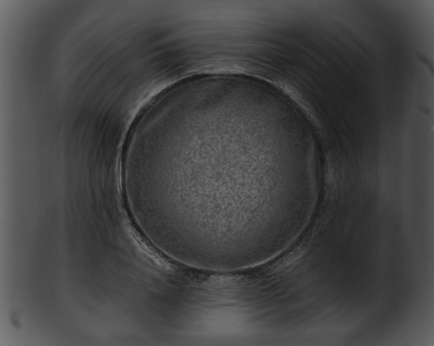 X0000101410840200807141129