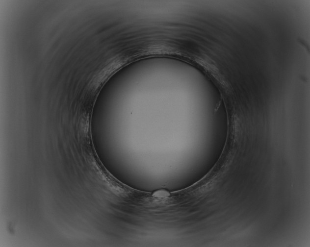 X0000101410841200807141129