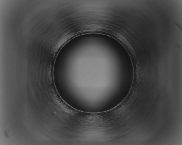 X0000101410842200807141129
