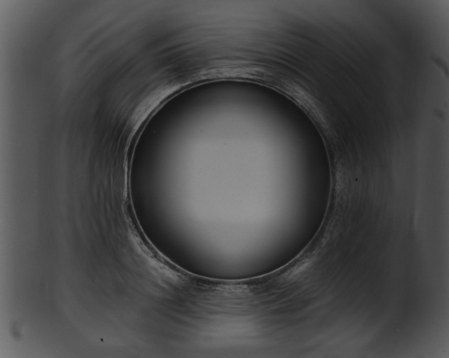 X0000101410844200807141129