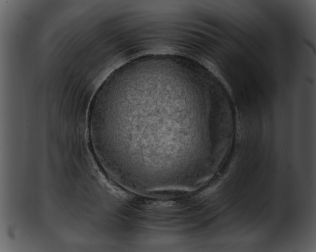 X0000101410845200807141129