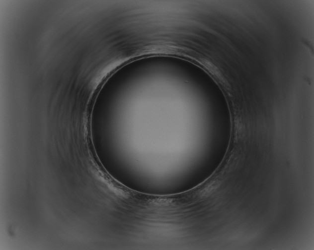 X0000101410846200807141129
