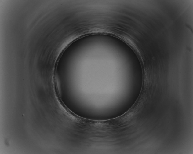 X0000101410847200807141129