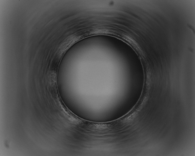 X0000101410849200807141129
