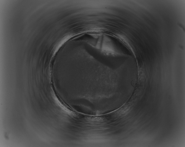 X0000101410851200807141129