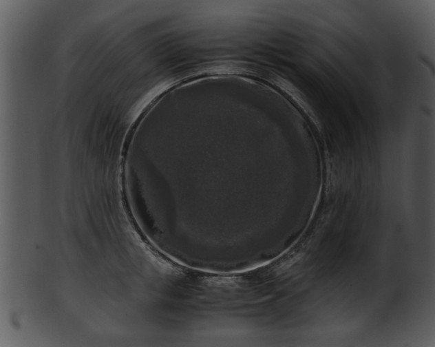 X0000101410853200807141129