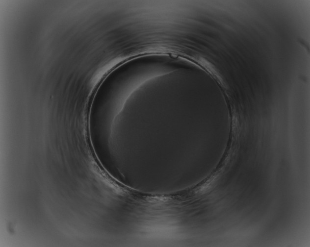 X0000101410854200807141130