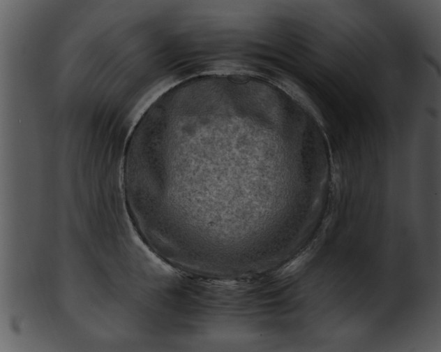 X0000101410855200807141130