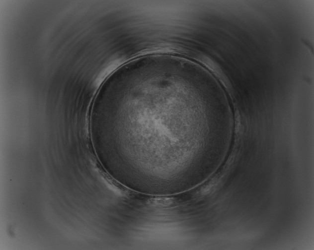 X0000101410858200807141130